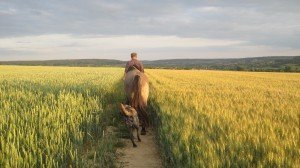 Har juli 2014 008