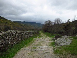 Cañada, eeuwenoude veedrift, vooral voor schapentranshumance