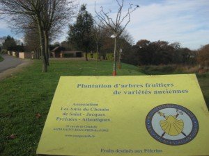 Oude rassen fruitbomen, aangeplant voor de pelgrims