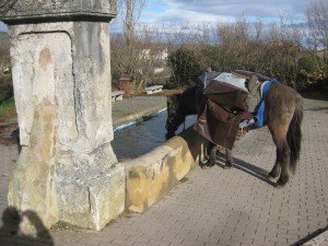 Villambistia center, with trough