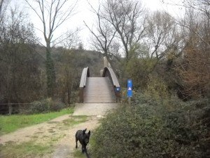 Spekgladde, houten brug. Hoe komen we dáár weer overheen. Gefilmd!