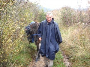  a horse and a donkey on the way 