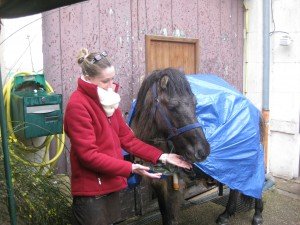 Har ponyanddogtrip 2014-2015 579 - kopie - kopie
