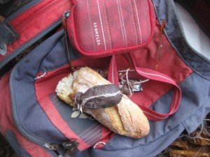 Close-up van lunch: varkensworstje met brood. Honger maakt rauwe bonen zoet