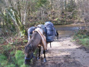 Indruk v d bosroute