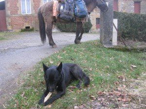 Har ponyanddogtrip 2014-2015 662