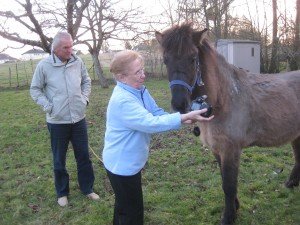 Arrival at our landlady on Friday evening, awaiting the blacksmith and the associated press