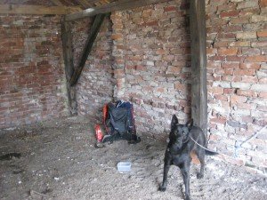 Middagpauze in stal in het veld. Even uit de storm