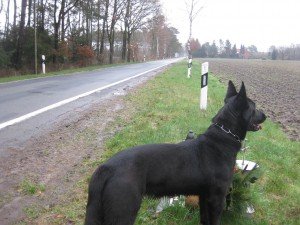 Onprettig lopen langs de weg