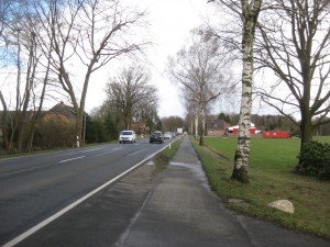 Vandaag 15 km langs drukke weg. Loopt lekker door. Tosca afleren naar auto' s te blaffen