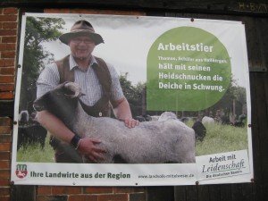 Doet denken aan onze herder in Eperheide