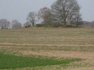 In de verte grafheuvel uit bronstijd, 2500 j. geleden