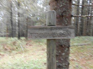 2500 j. oude grafheuvel aan Dodenweg