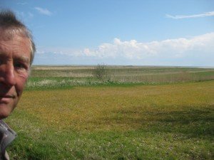 Grasland overlopend in strand en zee