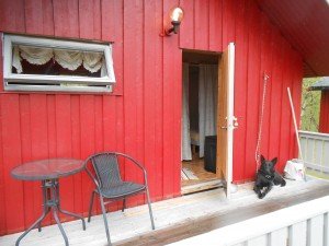 Mijn cabin