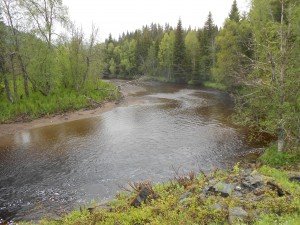 Riviertjes, wilde natuur