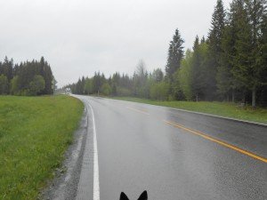 Bij sterke vergroting ziet men rechts de schaduw van de eland. Lens beslagen door kou