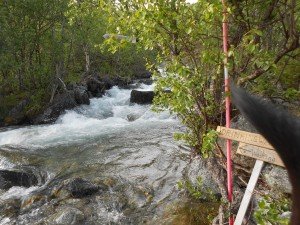 Drinken en wassen aan de rivier