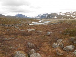 Landschap wordt meer Alpine