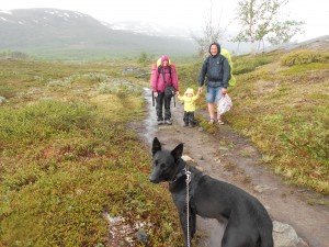 Ocharm, ze gaan toch niet de Kungsleden lopen. Maar jong geleerd, oud gedaan
