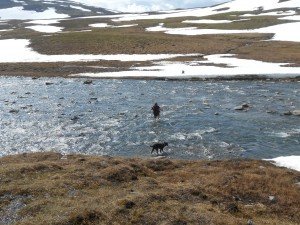 Nu Brends beurt om door de rivier te waden
