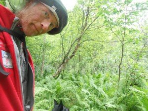 Laps oerwoud. Is andere koek dan gewoon 30 km. wandelen